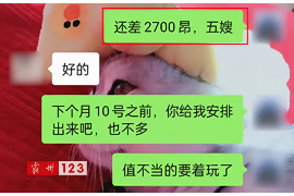 东至融资清欠服务